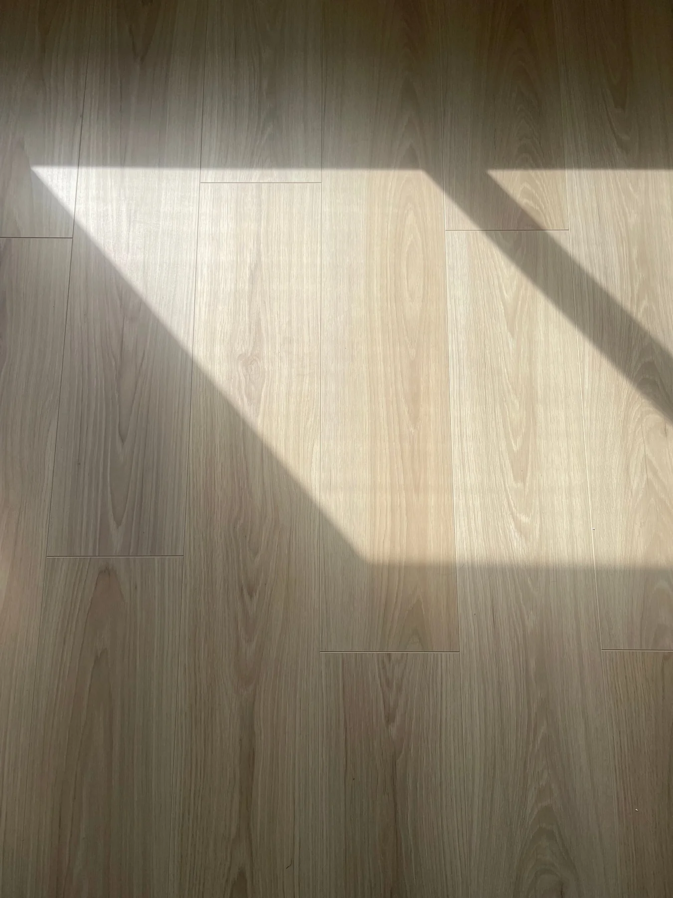 Sunlight falling across a newly installed light oak plank floor